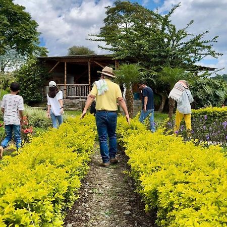 Hacienda Cafetera La Gaviota Villa Chinchiná Exterior foto