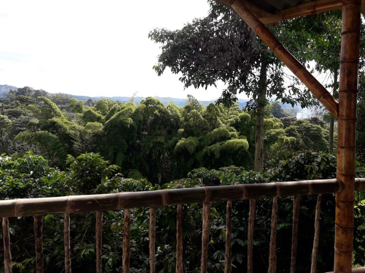 Hacienda Cafetera La Gaviota Villa Chinchiná Exterior foto